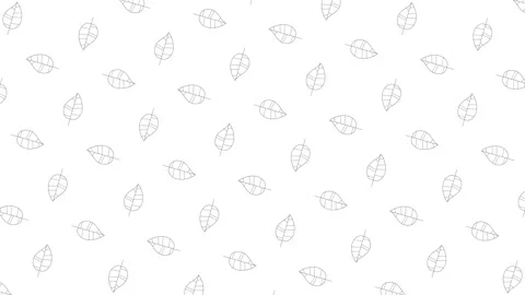 Poplar tree leaves black thin line icons on a white background. Seamless loop Stock Footage 159020667
