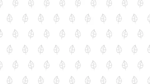 Poplar tree leaves black thin line icons on a white background. Seamless loop Video stock 162322692