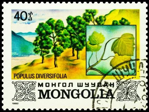 Poplar trees on postage stamp Stock Photos