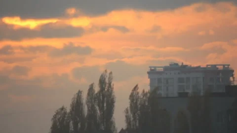 Poplars along building in evening Stock Footage 86465051