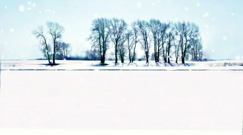 Poplars Stock Footage 621452