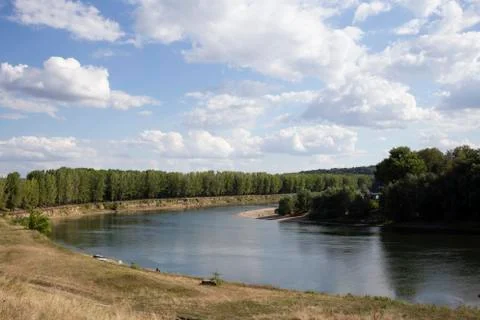 Poplars on the river. Stock Photos