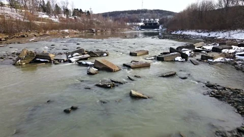 Poplet Stock Footage 150461071