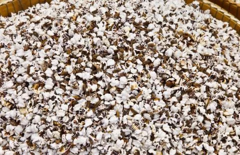 Popped rice Stock Photos