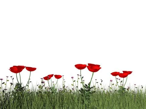 Poppies - 3D render Stock Illustration