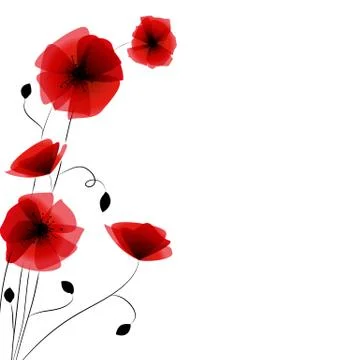 Poppies background Stock Illustration