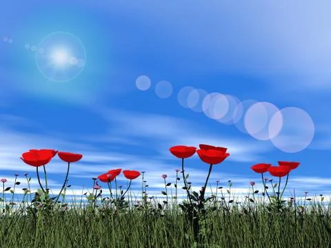 Poppies by day - 3D render Stock Illustration