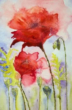 Poppies in exploding red Stock Illustration