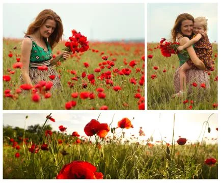 Poppies field Foto stock