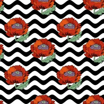 Poppies flowers vector hand drawn seamless pattern Stock Illustration