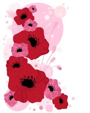 Poppies Stock Illustration