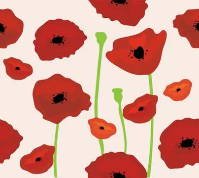 Poppies Stock Illustration