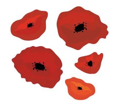 Poppies Stock Illustration