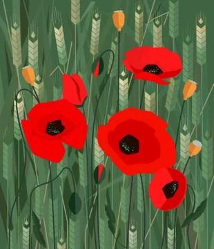 Poppies Stock Illustration