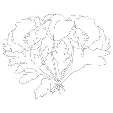 Poppies Stock Illustration