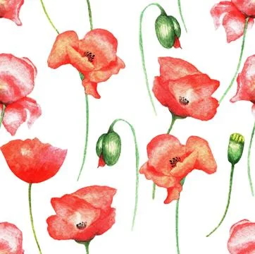 Poppies pattern, watercolor Stock Illustration