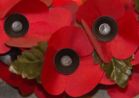 Poppies Stock Photos