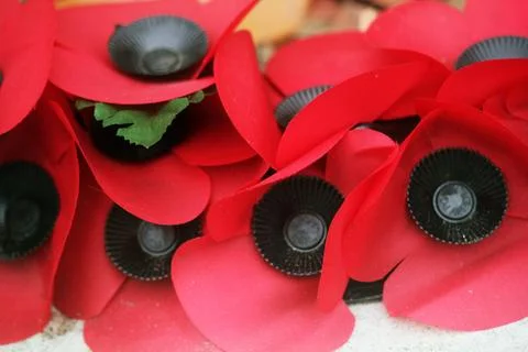 Poppies Stock Photos
