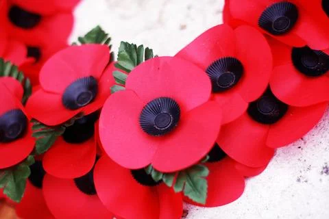 Poppies Stock Photos
