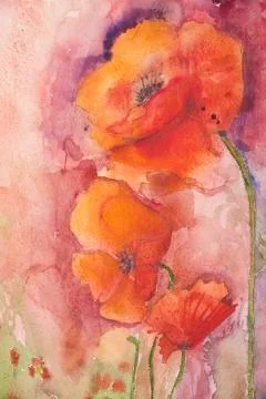 Poppies on a pink background. Stock Illustration