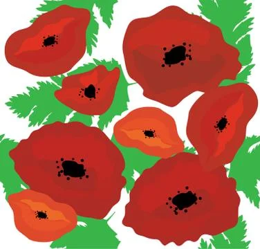 Poppies seamless background Stock Illustration