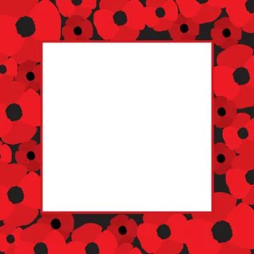 Poppies Vector Frame Stock Illustration