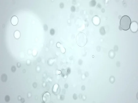 Popping bubbles Video stock 82252436