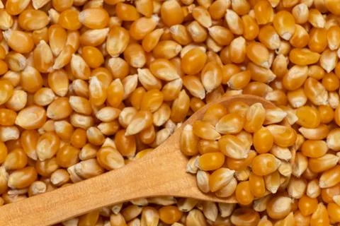 Popping Corn Background Texture Stock Photos