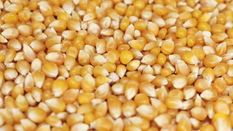 Popping corn kernels slowly rotating, macro closeup Stock Footage 132639351