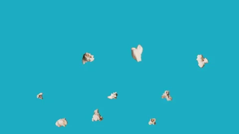Popping Popcorn Stock Footage 134792283