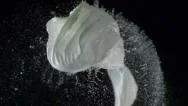 Popping Water Balloon On Black Background, Slow Motion Stock Footage