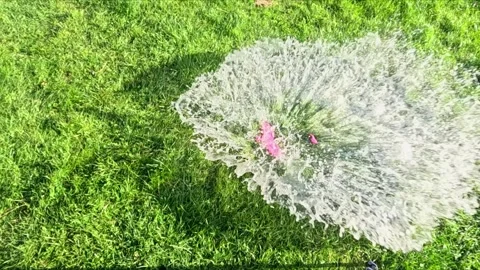 Popping water balloon exploding on green grass Video stock 319819698