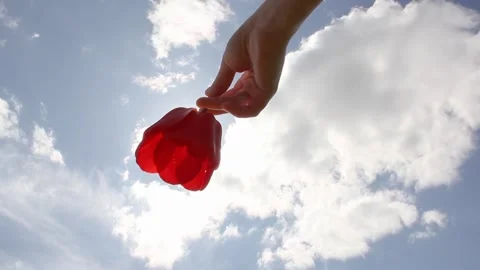 Poppy against the background of a cloudy and sunny sky. Red flower against the b Stock Footage 240122419