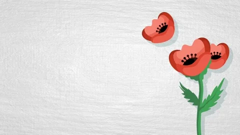 Poppy background 库存影片 321402188