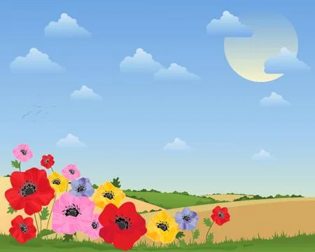 Poppy background Illustrazione stock