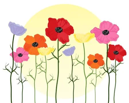 Poppy background Stock Illustration