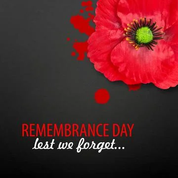 Poppy Day background Stock Illustration