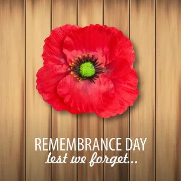 Poppy Day background Stock Illustration