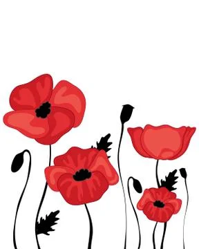Poppy design Stock Illustration