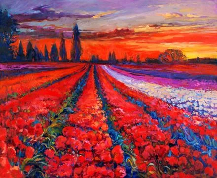 Poppy fields Stock Illustration