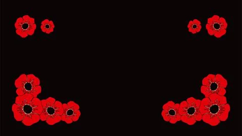 Poppy flower background suitable for remembrance day,veterans day,etc Stock Illustration