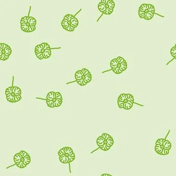 Poppy flower spring line vector seamless pattern 스톡 일러스트