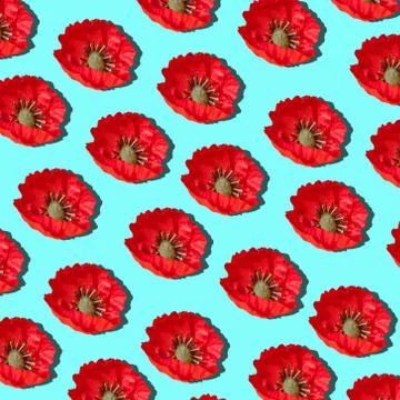 Poppy flowers pattern background on the light blue background Foto stock