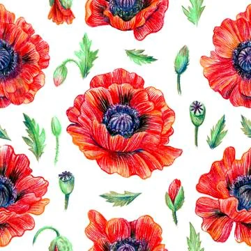 Poppy flowers pattern Stock Illustration