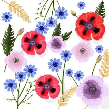 Poppy flowers pattern Vector. Floral background decors Illustrazione stock