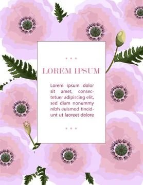 Poppy flowers pattern Vector. Pink Floral background decors Illustrazione stock