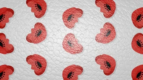 Poppy Stock Footage 321354776