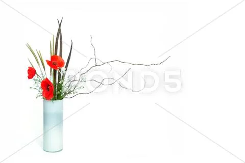 Poppy ikebana Stock Photos