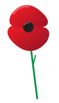 Poppy Stock Illustration