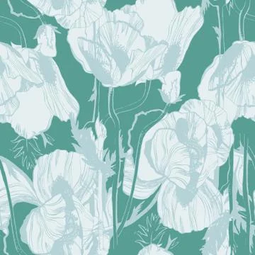 Poppy Stock Illustration